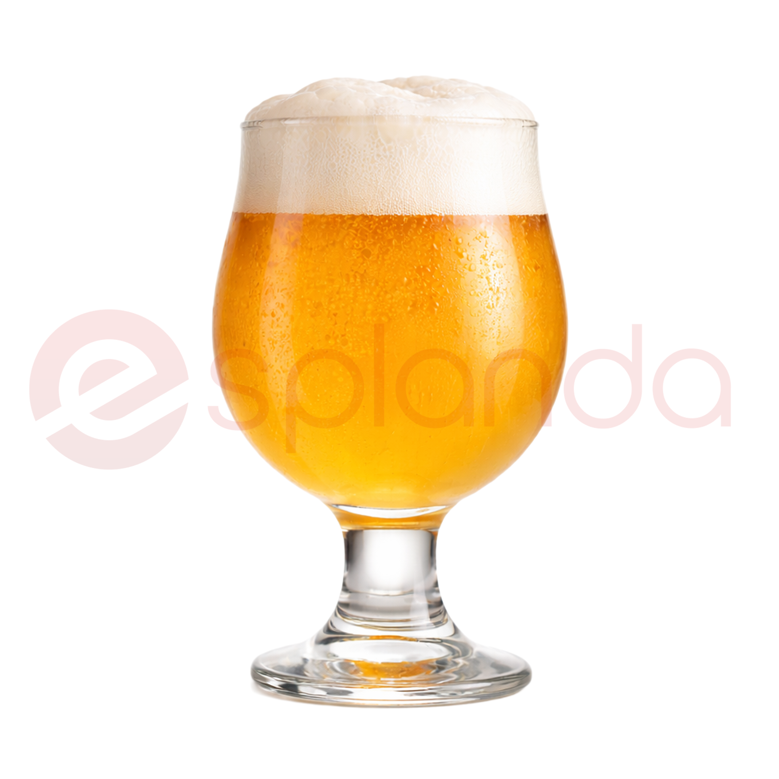 Belgian Style Beer