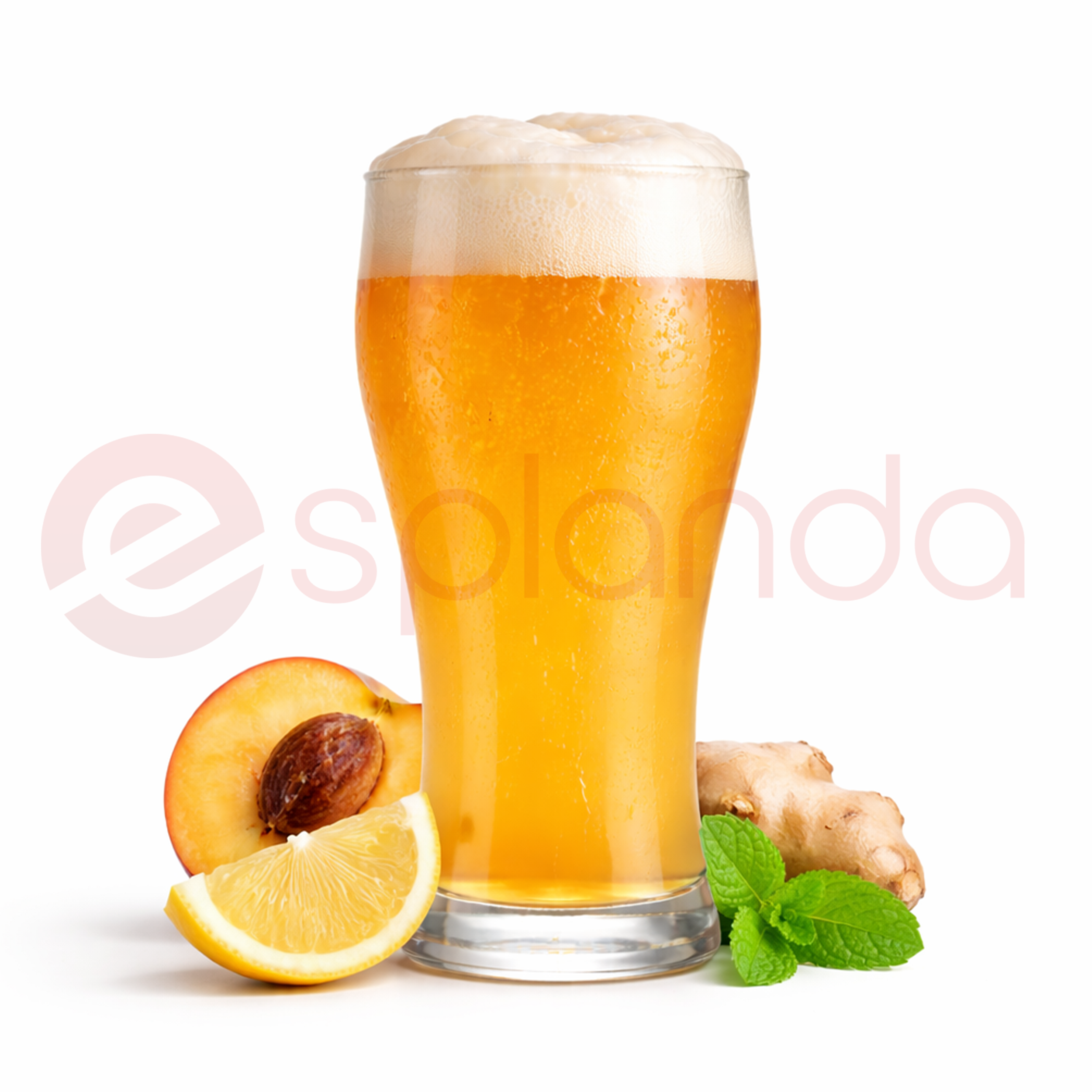 Kombucha