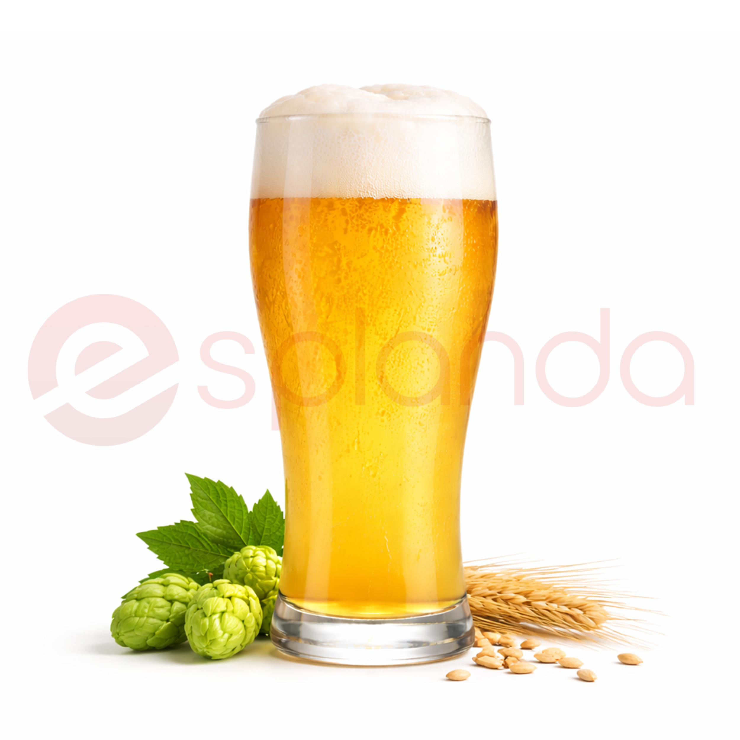Domestic Beer