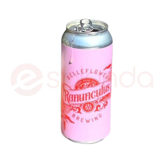 BELLEFLOWER Ranunculus 4 Pack at CBC Liquors, Westford, Westford MA