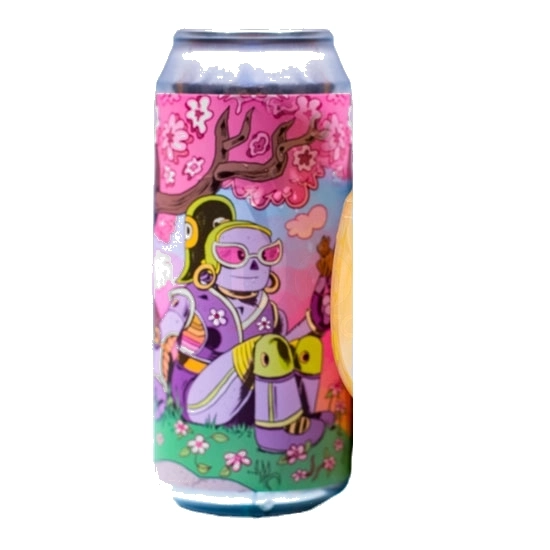 AERONAUT Kaleidobot 4 Pack at CBC Liquors, Westford, Westford MA