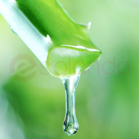 AMERICAN DROP ALOE VERA: 1.5L