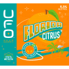 UFO Florida Citrus 6 Pack at CBC Liquors, Westford, Westford MA