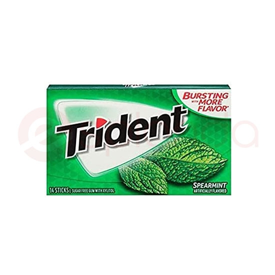 TRIDENT SPEARMINT