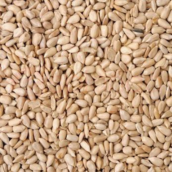 RADHEY SUNFLOWER SEEDS RAW:7OZ