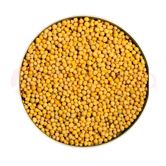 PARAS MUSTARD SEED YELLOW:7OZ