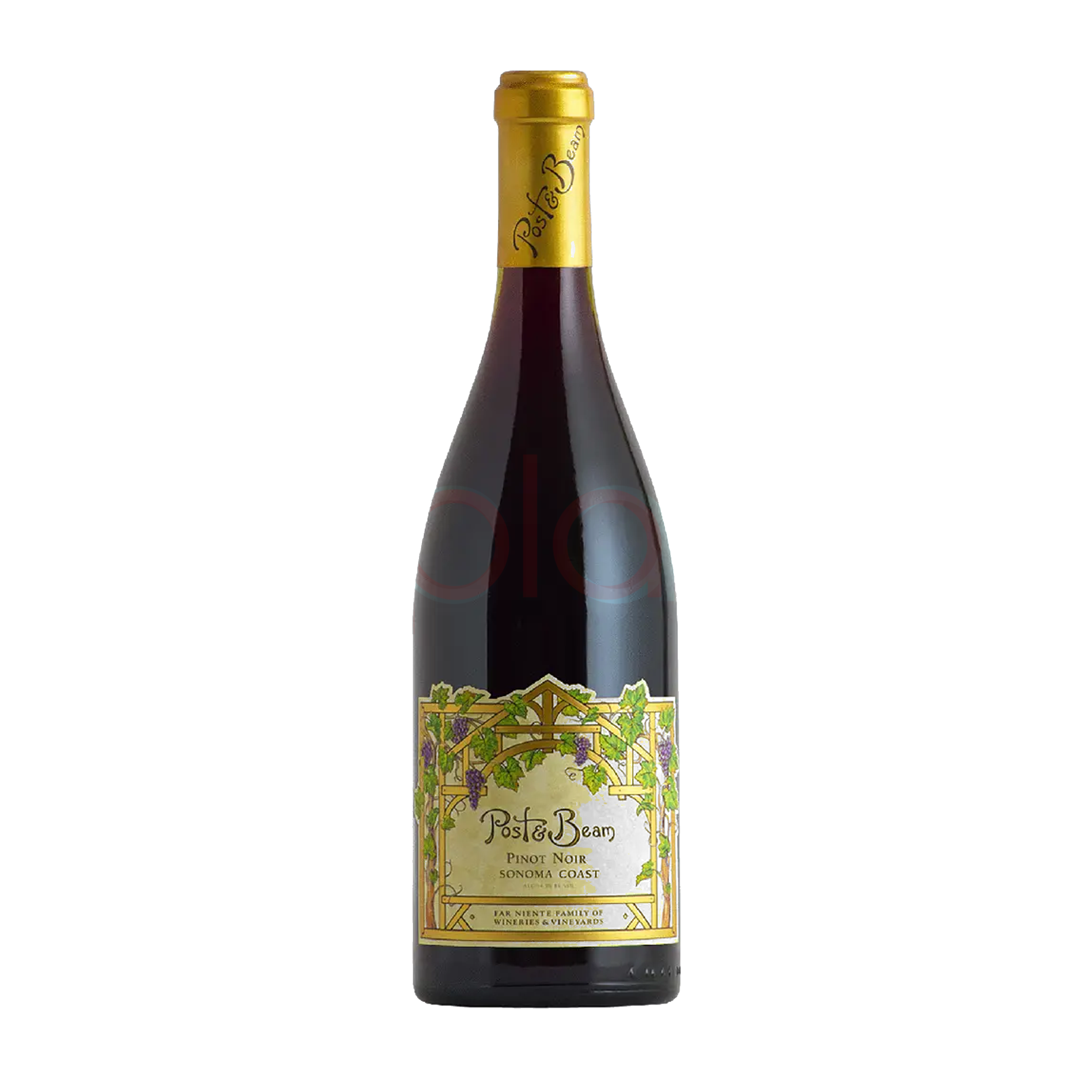 Pinot Noir