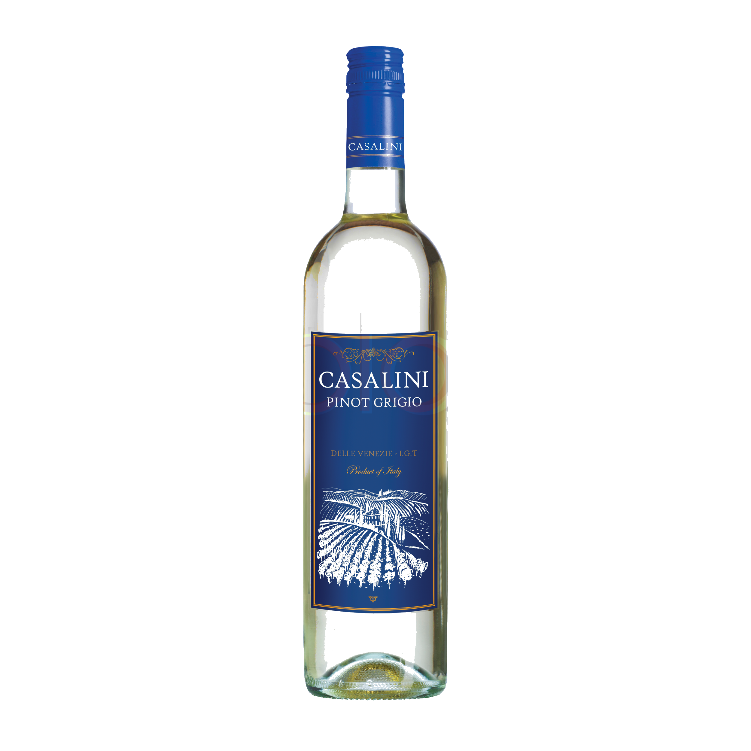 Pinot Grigio