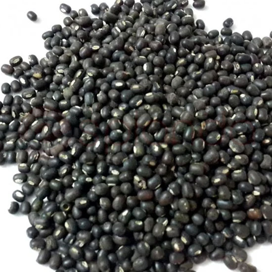 Paras Urad Whole Black : 4 Lbs