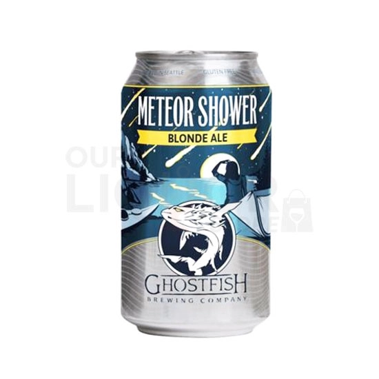 Meteor Shower