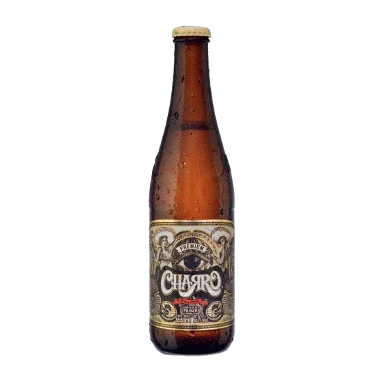 CHARRO Mexican Pilsner 6 Pack at CBC Liquors, Westford, Westford MA
