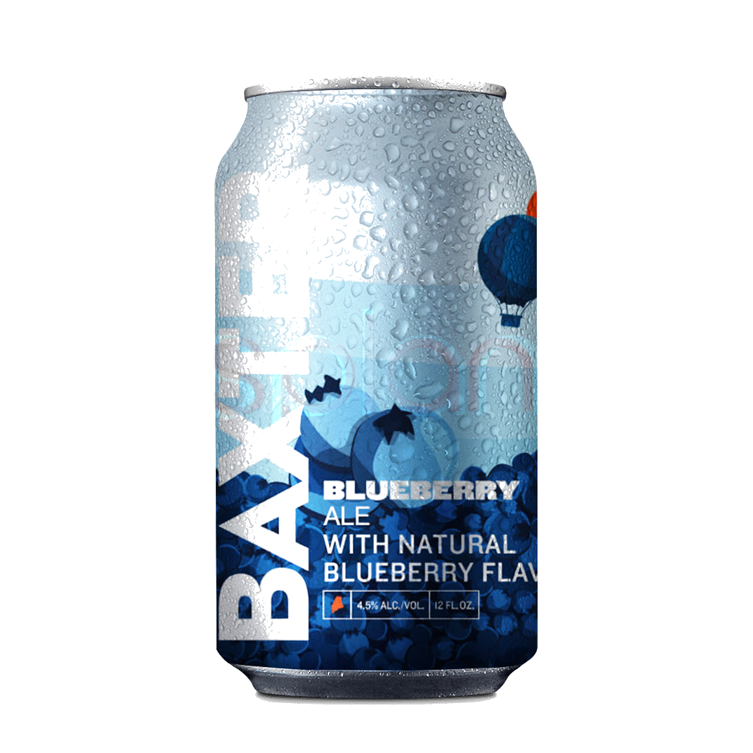 BLUEBERRY ALE