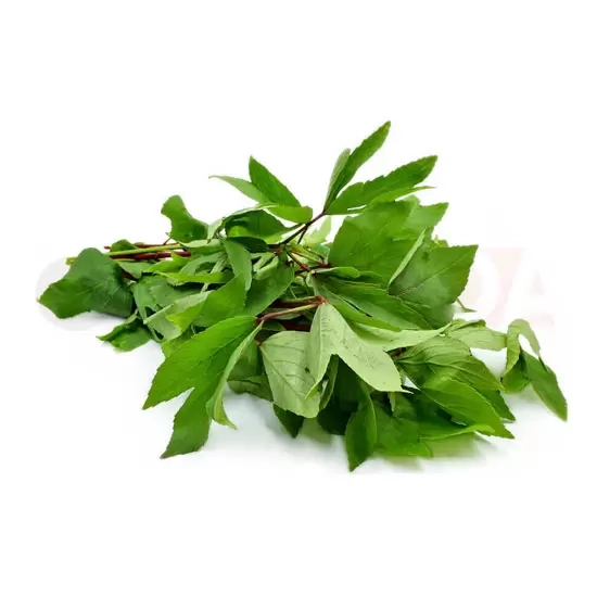 GONGURA : LB GONGURA : LB