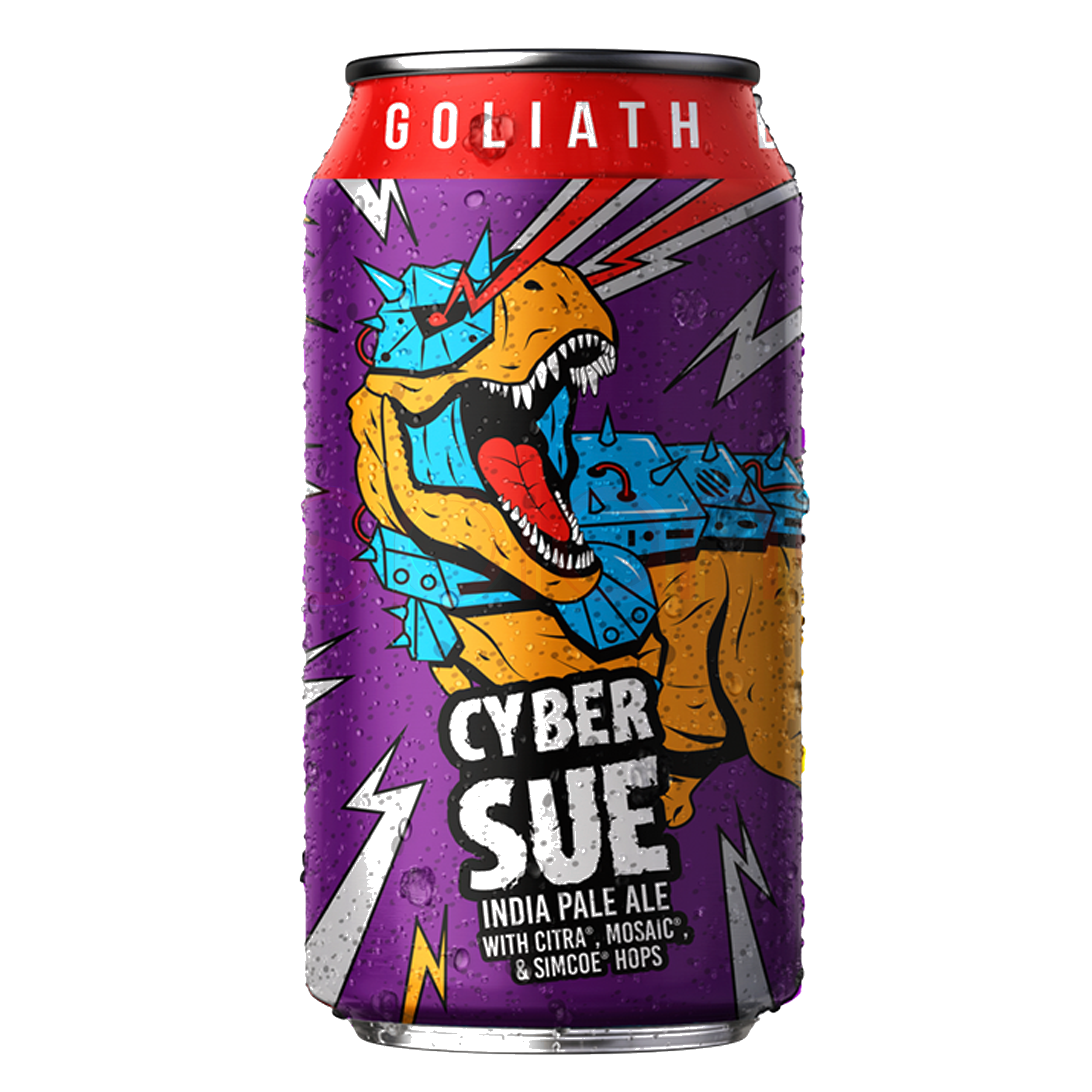 CYBER SUE