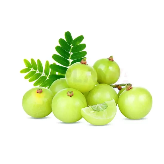 AMLA : One/LB