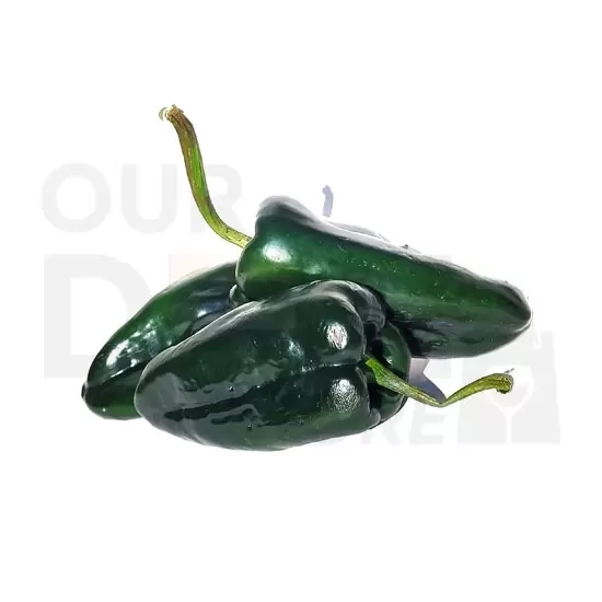 POBLANO PEPPERS : One/LB POBLANO PEPPERS : One/LB