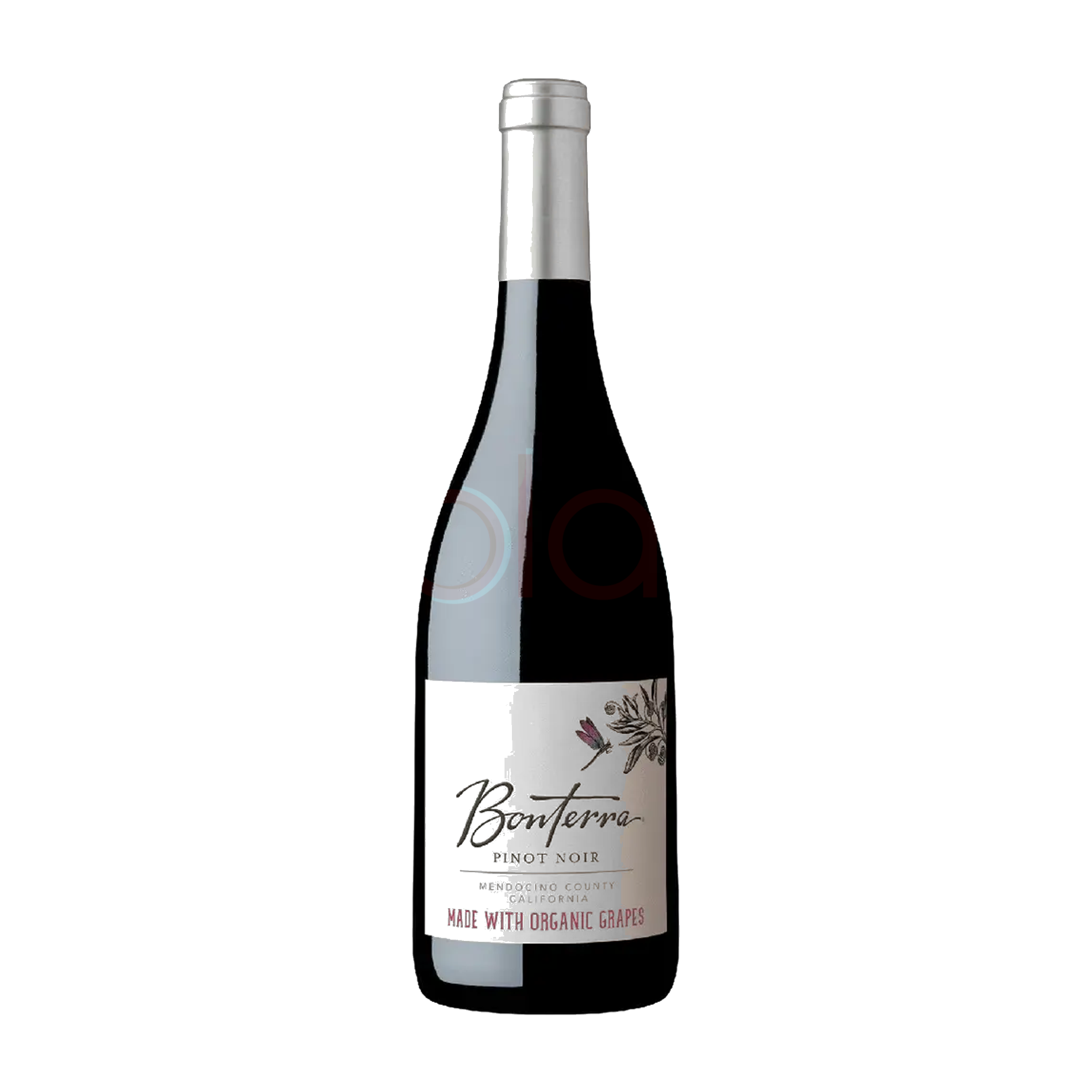Pinot Noir