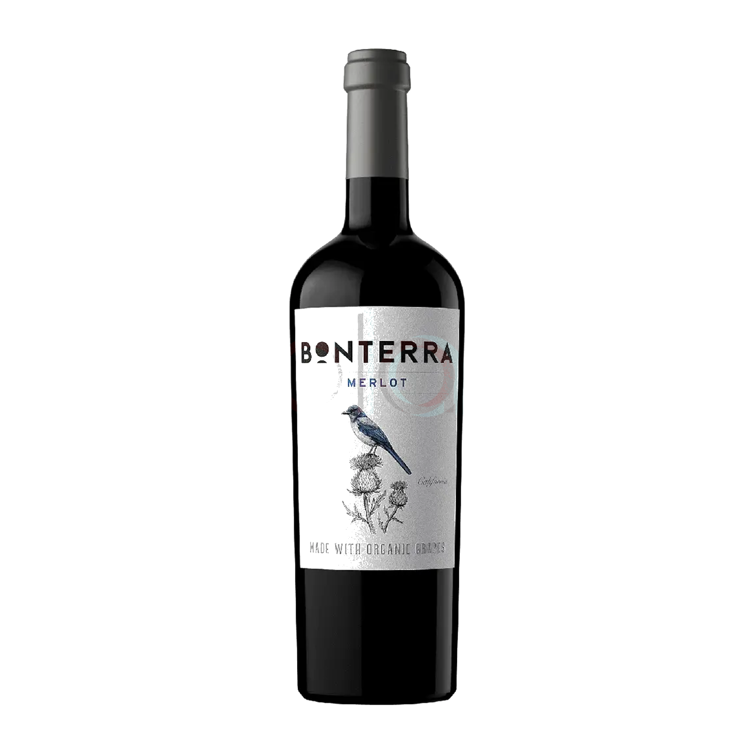 Merlot