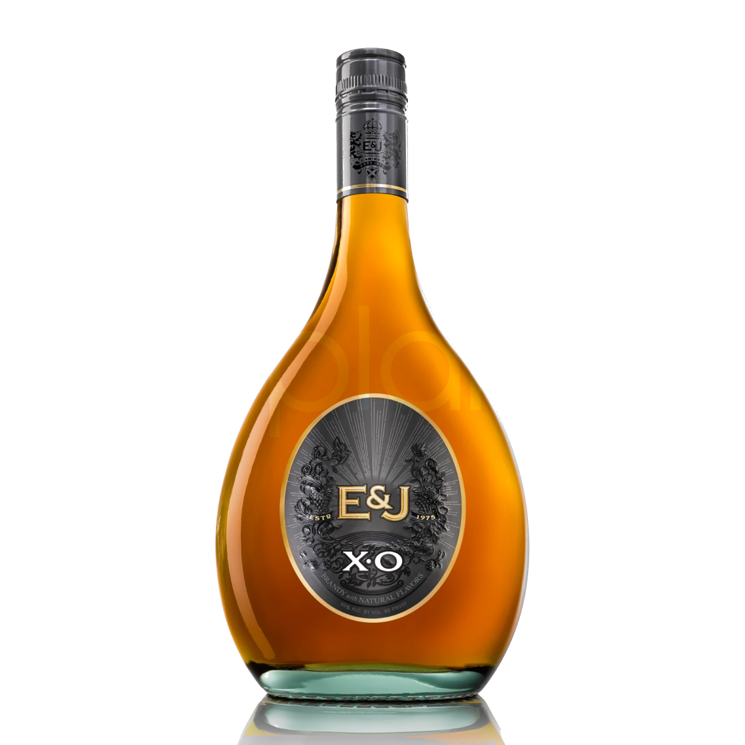 Xo Brandy
