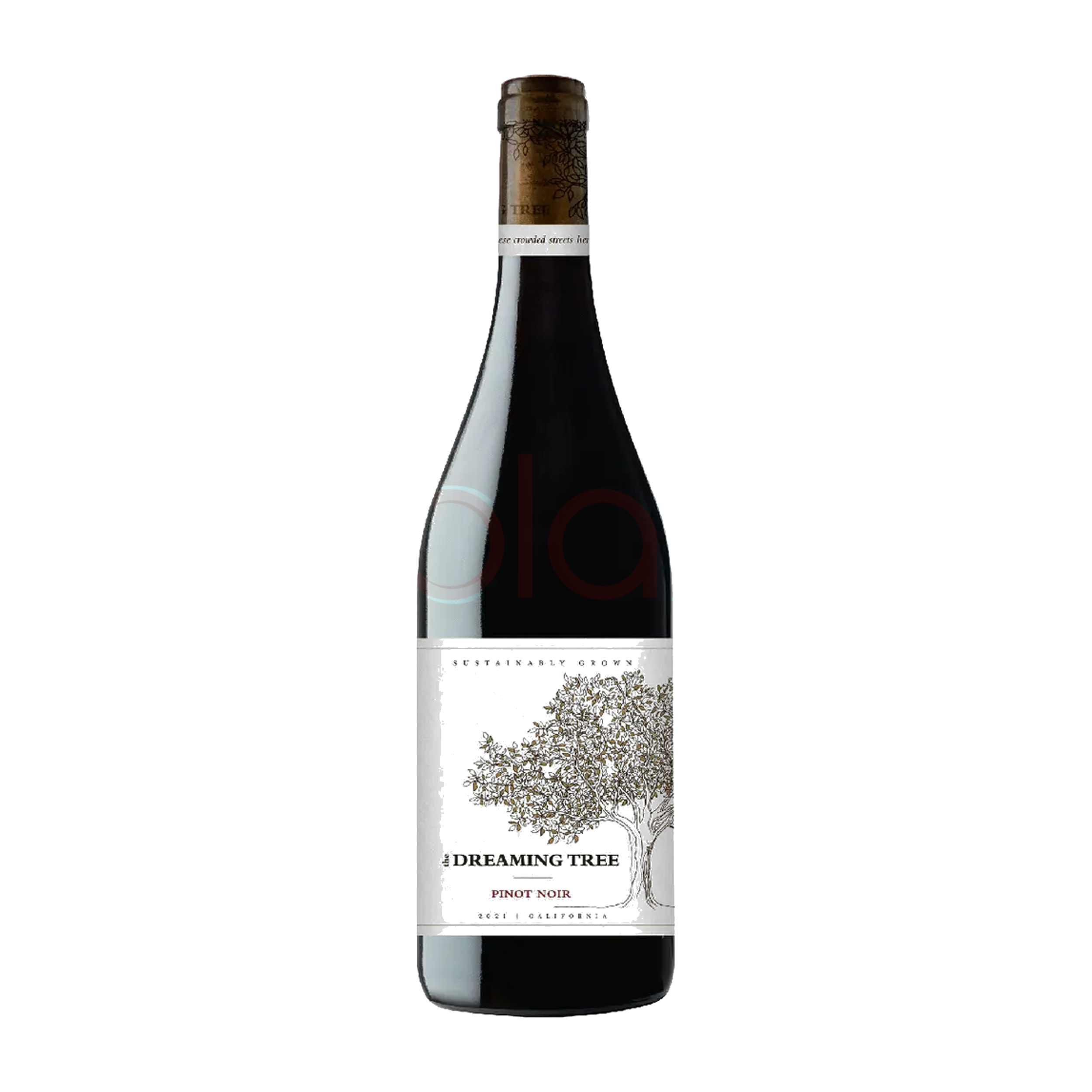 Pinot Noir