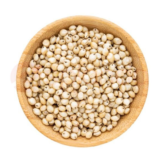 PARAS SORUGHAM MILLET: 2LB