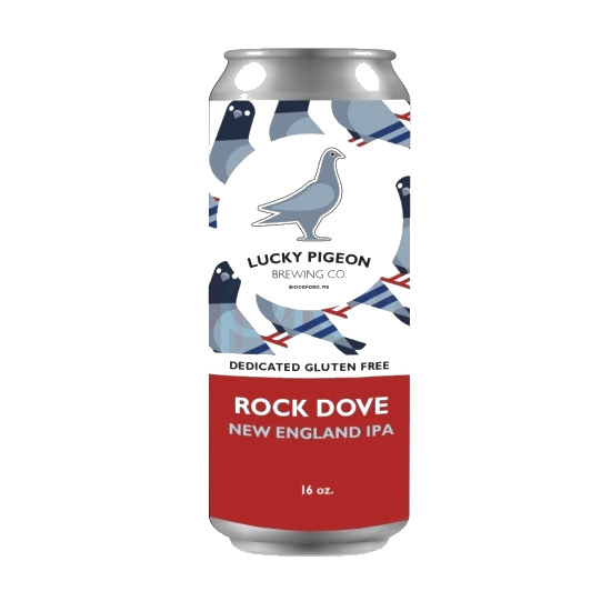 Rock Dove