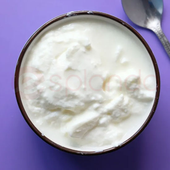 Plain Yogurt