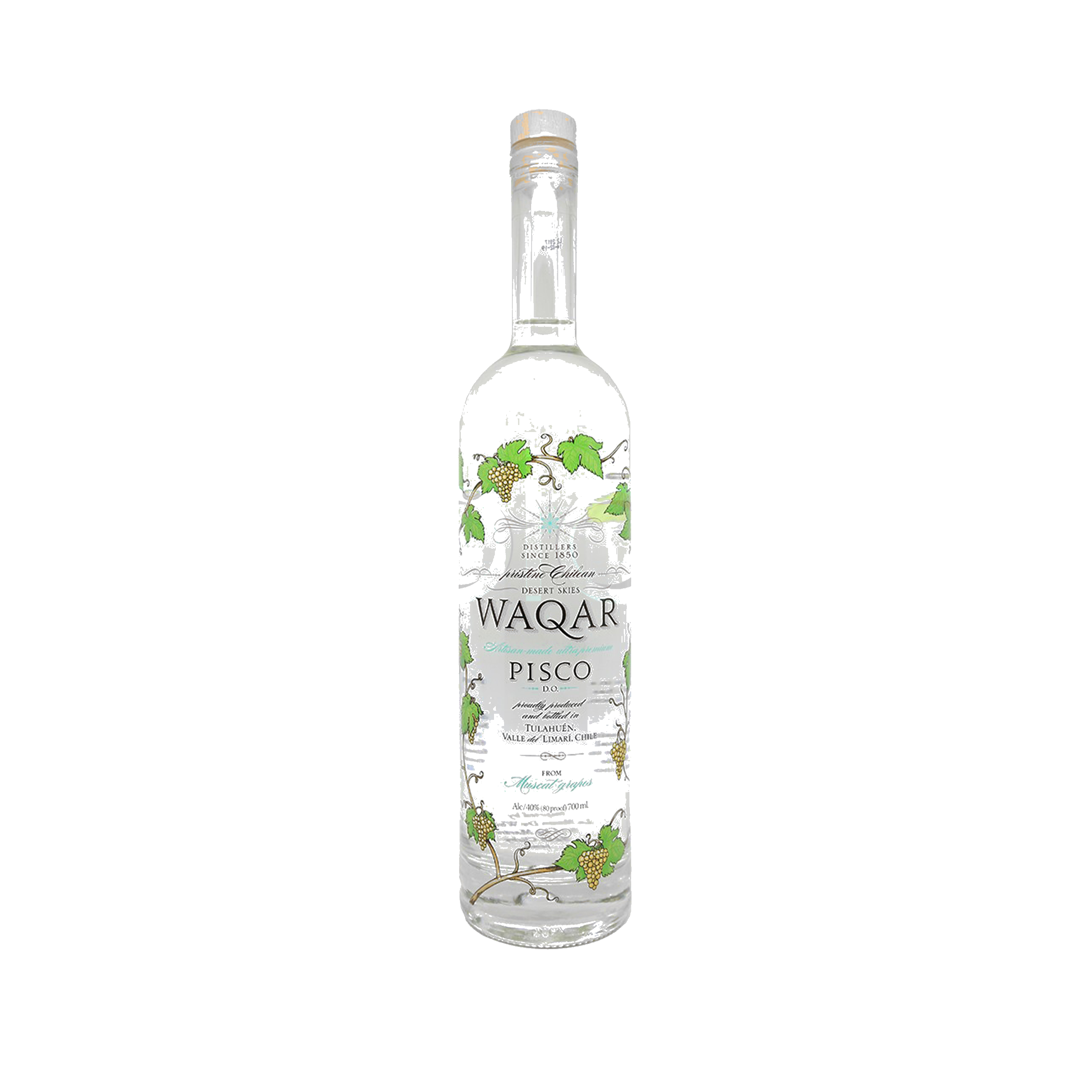 Pisco Pisco