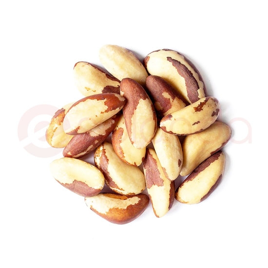 APNA BRAZIL NUTS: 14 OZ