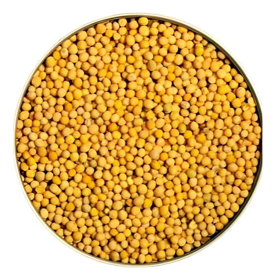 Paras Mustard Seed Yellow:14oz