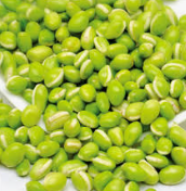 HALDIRAM VALOR LILVA: 312G