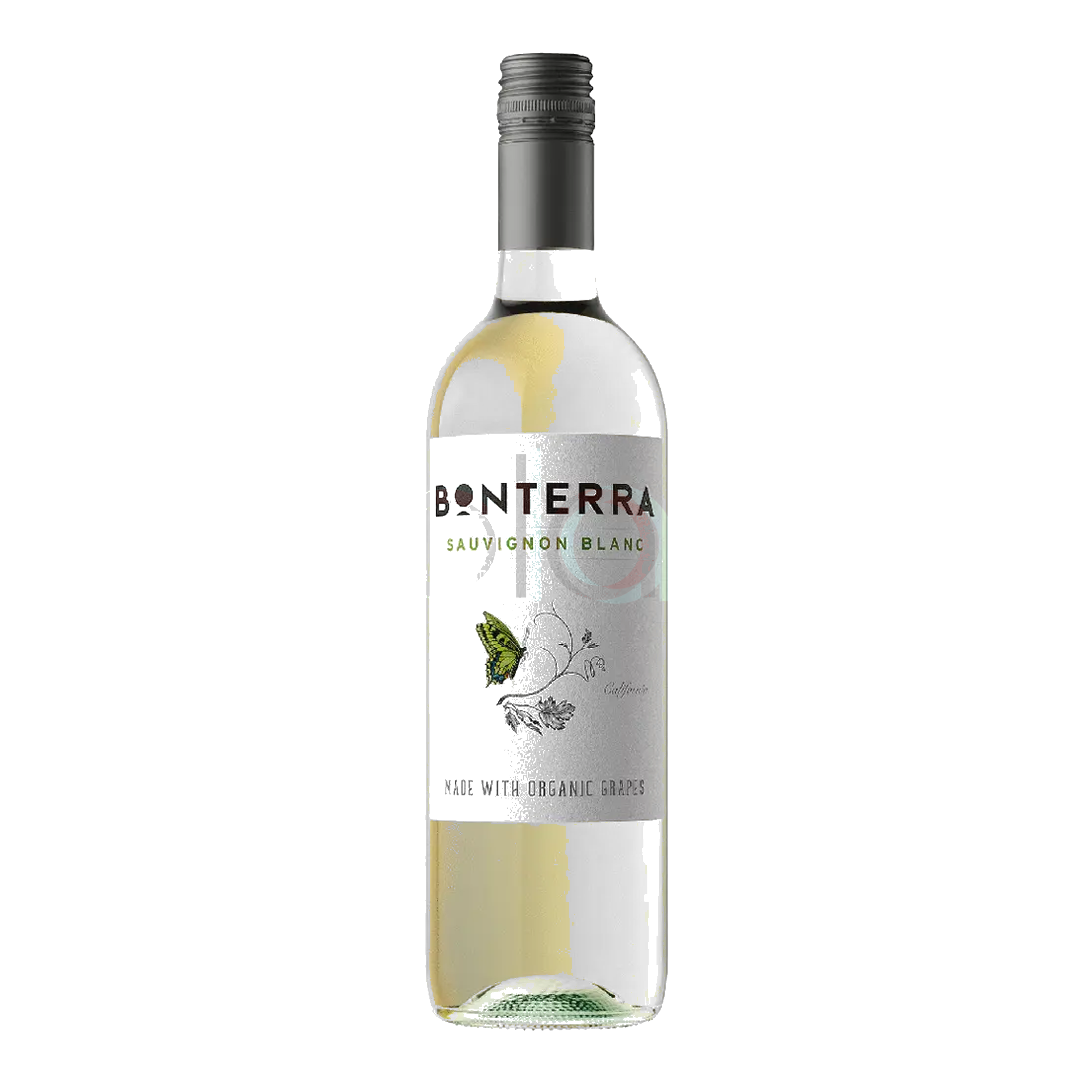 Sauvignon Blanc