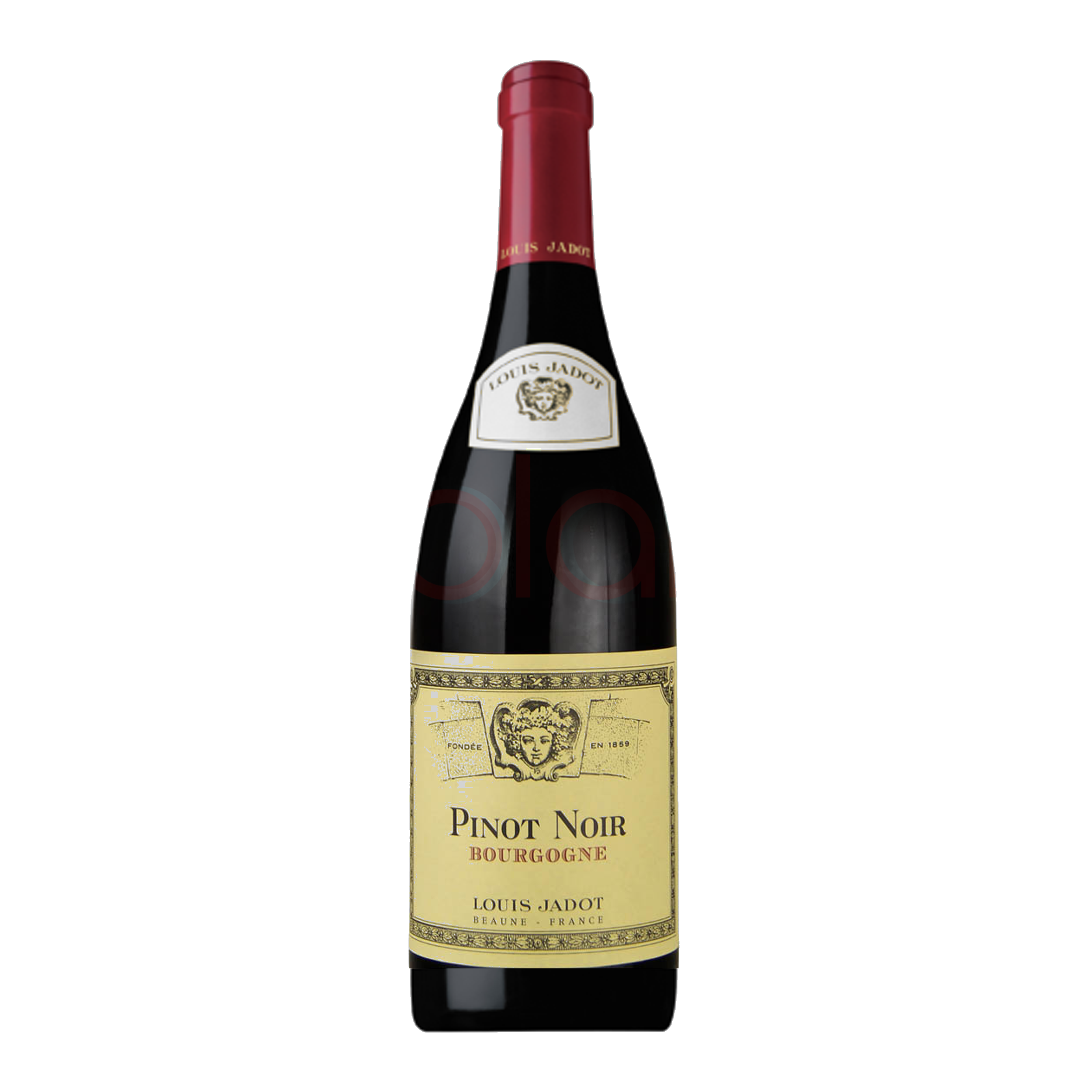 Pinot Noir Pinot Noir