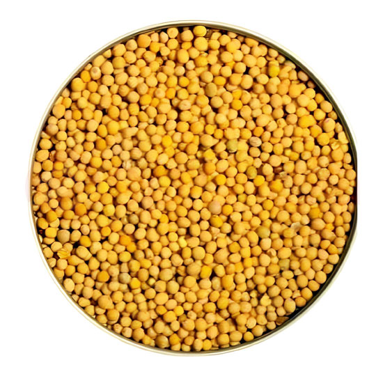 PARAS YELLOW MUSTARD: 10OZ