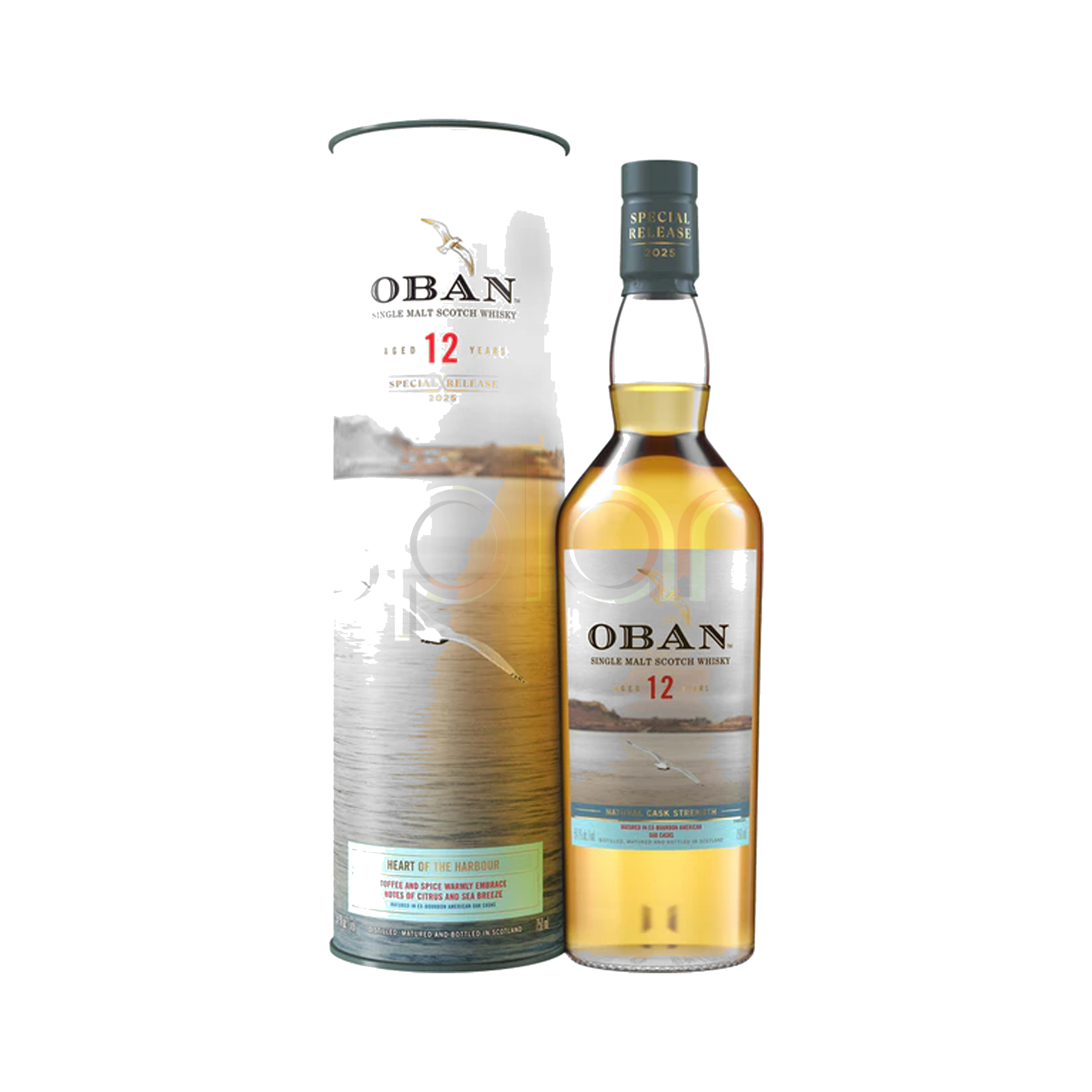 12 Year Special Release