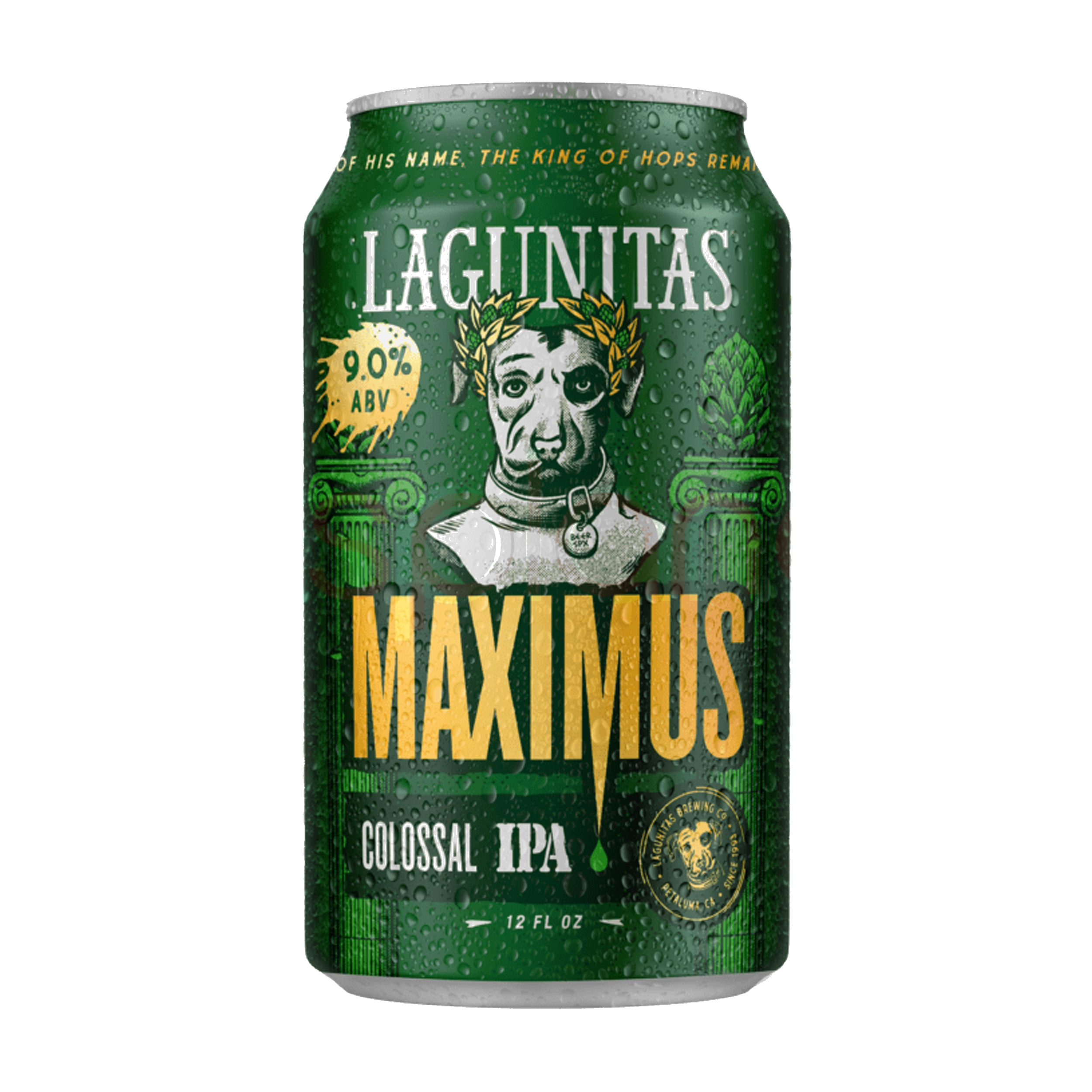 MAXIMUS